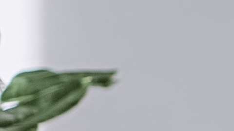 Reduce la inflamación en el cuerpo con hábitos saludables.