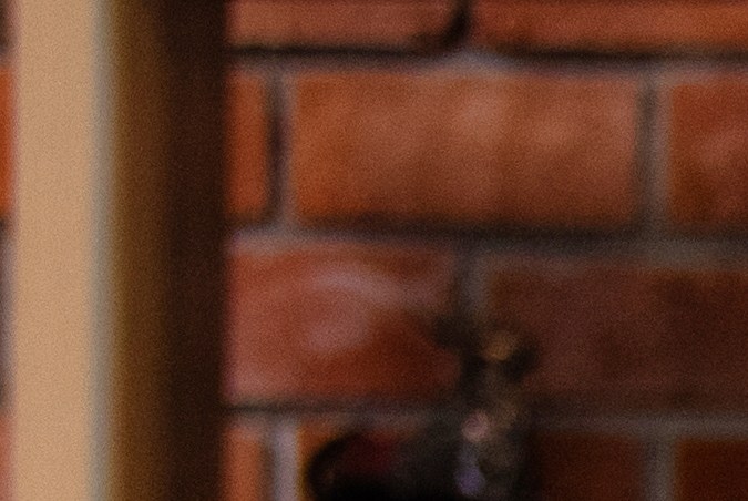 Juega con tus hijos diariamente para que desarrollen sus habilidades. 