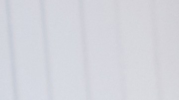 Un Proyecto Familiar es la guía para cumplir metas en apoyo de cada miembro.