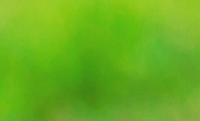 Consume alimentos o suplementos con vitamina C para cuidar tu piel.