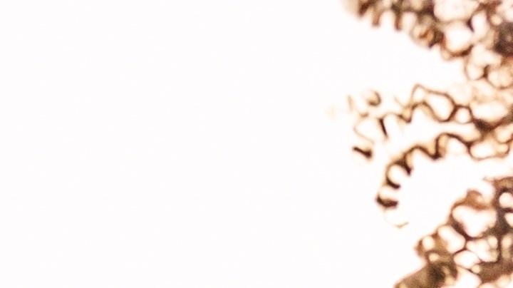 Estadounidenses aseguraron usar afirmaciones al menos una vez al mes.