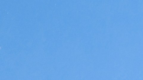 Cada vez más solteros aplican el "Clear Coding" en su búsqueda de nuevas relaciones.