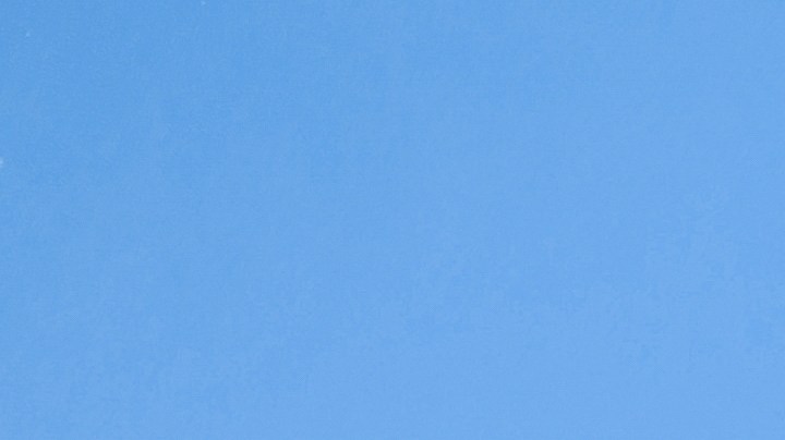 Cada vez más solteros aplican el "Clear Coding" en su búsqueda de nuevas relaciones.