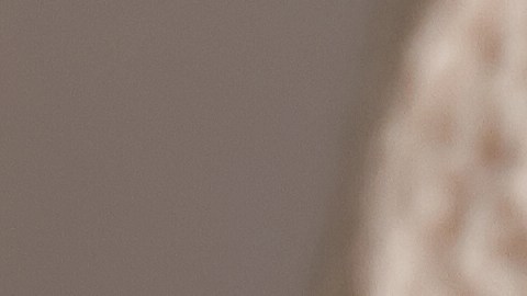 Recibe la primavera con un diseño de uñas en tendencia que represente la temporada.