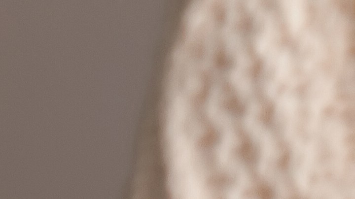 Recibe la primavera con un diseño de uñas en tendencia que represente la temporada.