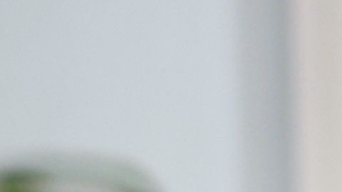 Mantener tu espacio en orden te ayudará a cuidar tu salud mental y equilibrar la energía Chi.