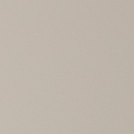 EL NAC es un suplemento que favorece la salud de las personas.