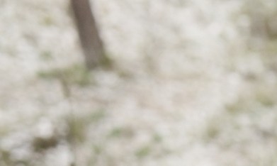 El entrenamiento de alta intensidad fortalece el corazón, pero el exceso sin supervisión puede provocar arritmias y cicatrices.