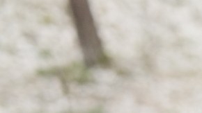 El entrenamiento de alta intensidad fortalece el corazón, pero el exceso sin supervisión puede provocar arritmias y cicatrices.