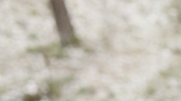 El entrenamiento de alta intensidad fortalece el corazón, pero el exceso sin supervisión puede provocar arritmias y cicatrices.