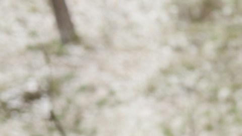 El entrenamiento de alta intensidad fortalece el corazón, pero el exceso sin supervisión puede provocar arritmias y cicatrices.