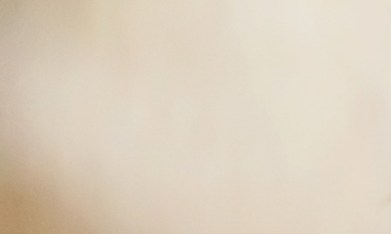 El estrés y la ansiedad son las principales causas del insomnio en mascotas.