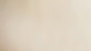 El estrés y la ansiedad son las principales causas del insomnio en mascotas.