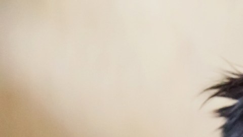 El estrés y la ansiedad son las principales causas del insomnio en mascotas.