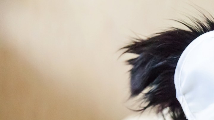 El estrés y la ansiedad son las principales causas del insomnio en mascotas.