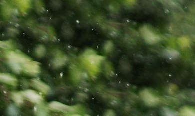 Un simple paseo bajo el agua puede mejorar tu estado de ánimo, purificar tus pulmones y relajar tu cerebro con la misma eficacia que una sesión de meditación