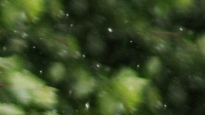 Un simple paseo bajo el agua puede mejorar tu estado de ánimo, purificar tus pulmones y relajar tu cerebro con la misma eficacia que una sesión de meditación