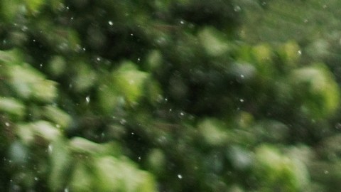 Un simple paseo bajo el agua puede mejorar tu estado de ánimo, purificar tus pulmones y relajar tu cerebro con la misma eficacia que una sesión de meditación