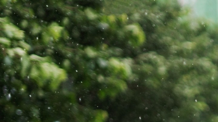 Un simple paseo bajo el agua puede mejorar tu estado de ánimo, purificar tus pulmones y relajar tu cerebro con la misma eficacia que una sesión de meditación