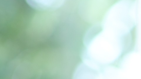 comiendo queso