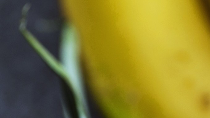 batido de cúrcuma