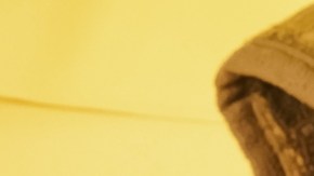 swinger