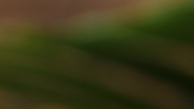 Aceite de coco y café